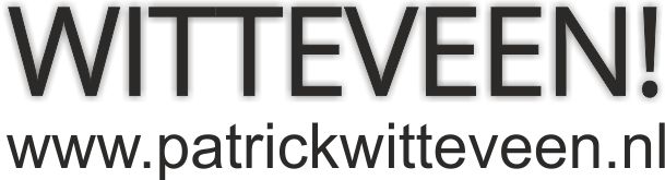 WitteveenWeb Logo